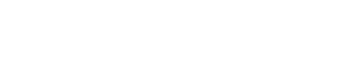 VICE